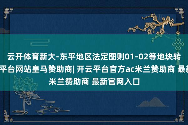 云开体育新大-东平地区法定图则01-02等地块转化后-开云平台网站皇马赞助商| 开云平台官方ac米兰赞助商 最新官网入口
