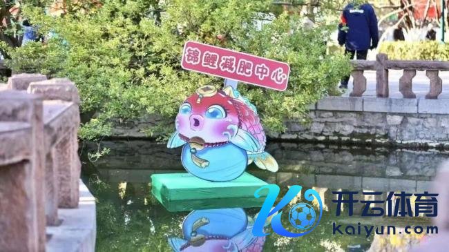 趵突泉猪鲤减肥失败 旅客祥和不减投喂