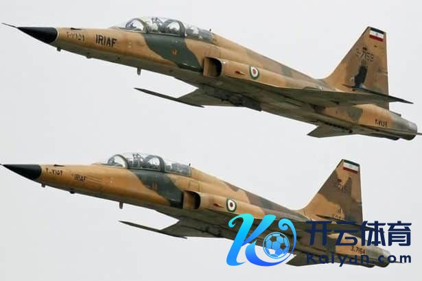 贵寓图：伊朗空军F-5构兵机 塔斯尼姆通讯社
