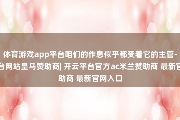 体育游戏app平台咱们的作息似乎都受着它的主管-开云平台网站皇马赞助商| 开云平台官方ac米兰赞助商 最新官网入口